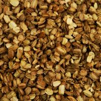 Angelica Seed Oil 